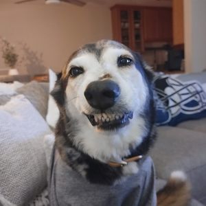 Meet your Posher, Monika